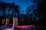 Sophienholm i Nordsjælland, her med lyskunst i parken, vil være en kunsthal. Men så kom sagen i byrådet ...
 Foto: Martin Lehmann