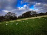 IMG_1790-2