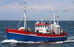 Fisketure efter torsk på Øresund har været populære i en årrække. Foto: Spar Lystfiskeri