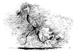 Tegning  Per Marquard Otzen