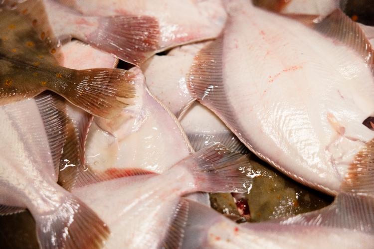 Foto: Thomas Borberg