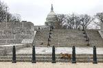     WASHINGTON, DC - APRIL 05: A fox walks near Upper Senate Park on the grounds of the U.S. Capitol on April 05, 2022 in Washington, DC. Several individuals have reported being approached and bitten by a fox. Kevin Dietsch/Getty Images/AFP == FOR NEWSPAPERS, INTERNET, TELCOS &amp; TELEVISION USE ONLY ==   Foto: Kevin Dietsch/Ritzau Scanpix