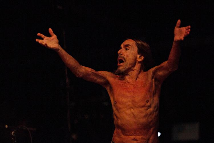 Iggy Pop er et kraftværk på en scene. Til juni kan danske fans opleve den amerikanske musikers vilde liveshow, når han spiller på Værket i Randers og i Falkoner Salen i København. Foto: Tobias Nicolai
