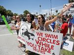 Flere gange er der demonstreret mod hvalernes forhold i Miami Seaquarium som her i 2015, hvor folk protesterer mod behandlingen af spækhuggeren Lolita.   Foto: Wilfredo Lee/Ritzau Scanpix