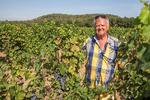 Per Pallesens store interesse er vin. Det begyndte med franske druer, siden er også italiensk vin blevet en del af passionen. Foto: Kaspar Wenstrup 