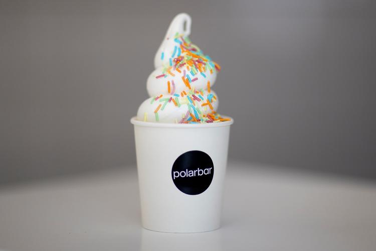 Polarbar i Nordvest. Foto: Finn Frandsen