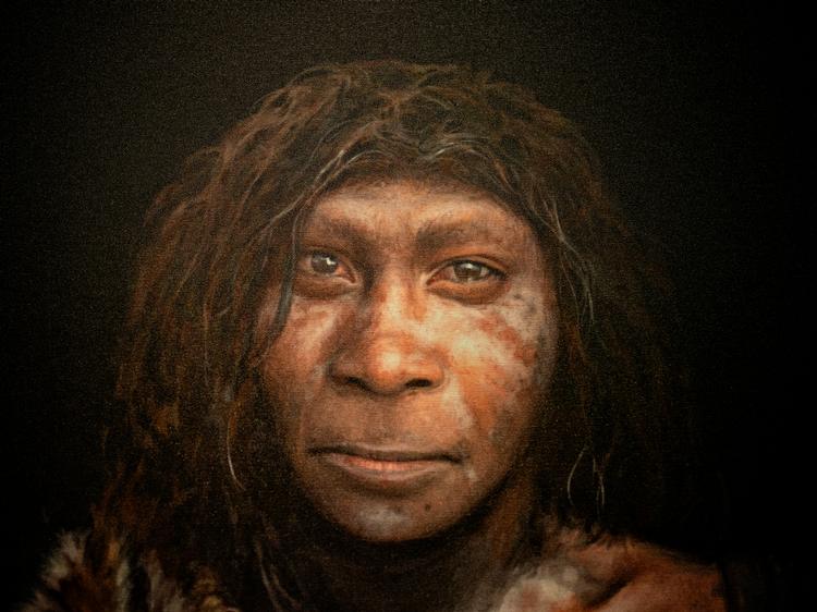 På en gang i udstillingen fanger neandertalere ens blik fra malerier på væggen og forvandler sig fra eksemplarer af en uddød art til personer.  Foto: Miriam Dalsgaard