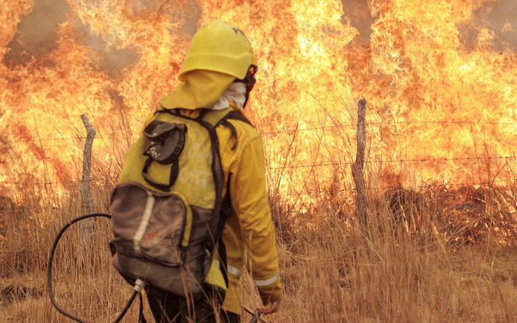 Skovbrande, oversvømmelser, tørke, klimaflygtninge, smeltende gletschere. Advarslerne står i kø, men i det daglige er det svært at ændre sine vaner alligevel. Det er meget menneskeligt, mener psykolog Solveig Roepstorff. Foto: Stringer/Ritzau Scanpix