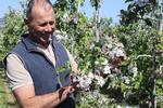 En tredjedel af Tysklands frugtproduktion kommer fra frugtplantagerne ved Bodensee. En af egnens 800 er Christoph Steffelins. Foto: Thomas Flensburg