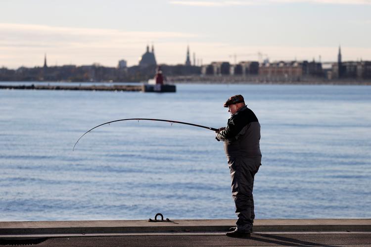 Foto: Jens Dresling
