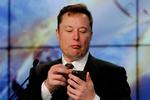 Elon Musk er med sine 92 millioner følgere den 8. mest fulgte profil på Twitter. Foto: Joe Skipper/Ritzau Scanpix