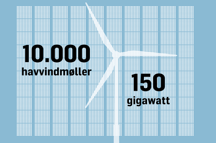 NET-vinhavmølle-10000