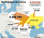 2Flygtningestrøm-fra-Ukraine-17-maj