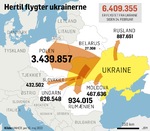 2Flygtningestrøm-fra-Ukraine-20-maj