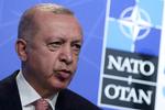 Tyrkiets præsident, Erdogan, har udtrykt modstand mod, at Finland og Sverige bliver optaget i Nato.  Foto: Yves Herman/Ritzau Scanpix