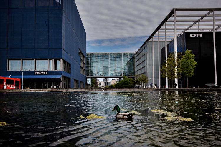 Foto: Martin Lehmann