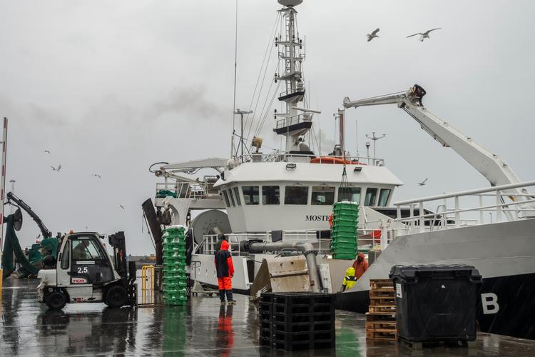Naturfredningsforeningen og fiskerne er ikke enige om, hvorvidt trawlfiskeri i beskyttede havområder er et problem. Foto: Lars Laursen/Ritzau Scanpix