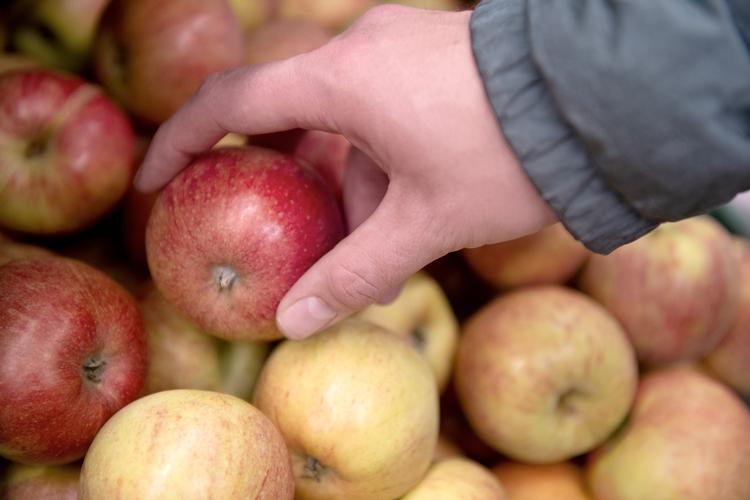 Det betyder noget, hvor frugt og grønt er dyrket i forhold til, hvor mange rester af sprøjtegifte, der er tilbage på skrællen og i selve frugtkødet. de mest giftige af slagsen er der fleste af i frugt og grønt dyrket uden for Danmarks grænser, viser ny EU-rapport.  Foto: Annika Byrde