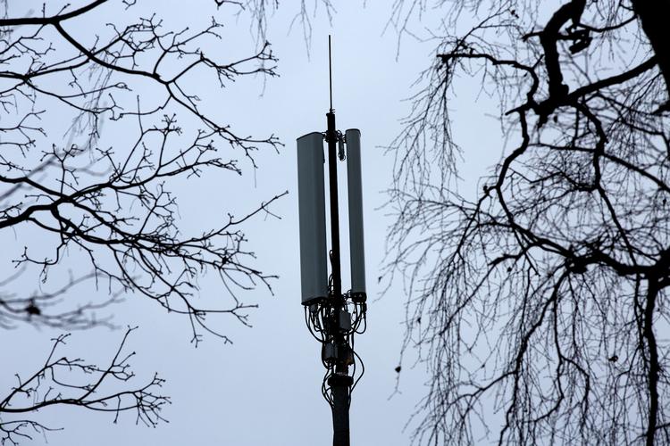 Foto: Jacob Ehrbahn
