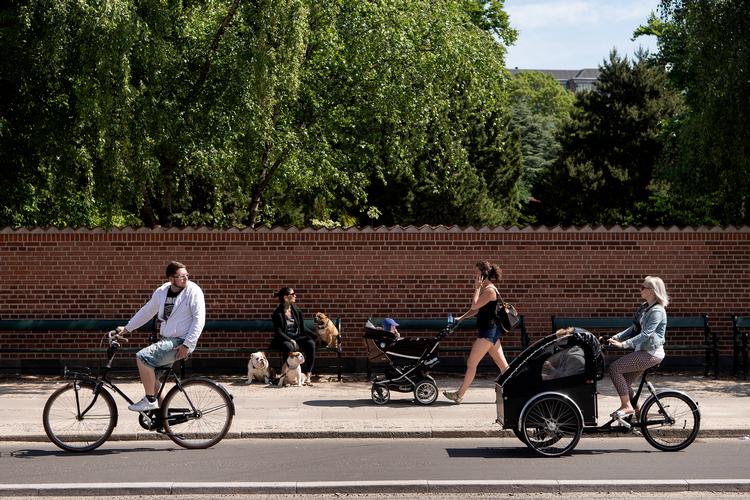 Hundelufter på Amagerbrogade. Foto: Peter Hove Olesen