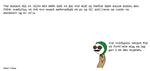 web_maren_2022-06-16