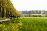 Vejene omkring Ledreborg i Lejre er også et godt sted at se Tour de France-feltet blæse forbi. Blandt andet også fordi omgivelserne er smukke. Foto: Camilla Hylleberg Photography
