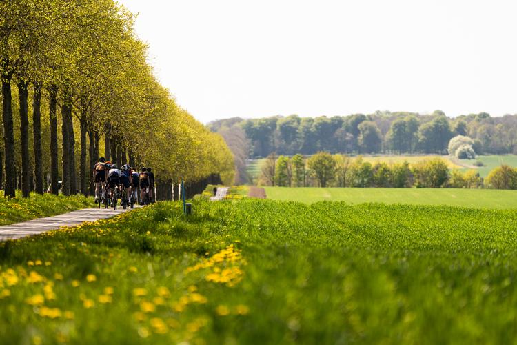 Vejene omkring Ledreborg i Lejre er også et godt sted at se Tour de France-feltet blæse forbi. Blandt andet også fordi omgivelserne er smukke. Foto: Camilla Hylleberg Photography
