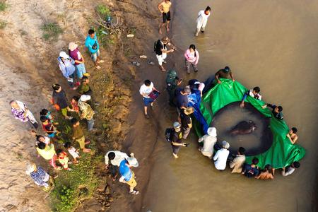 Foto: Sinsamout Ounboundisane/fishbio/Ritzau Scanpix
