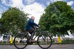 Selv de københavnske vejtræer har fået en omgang pyntegult. Foto: Liselotte Sabroe/Ritzau Scanpix