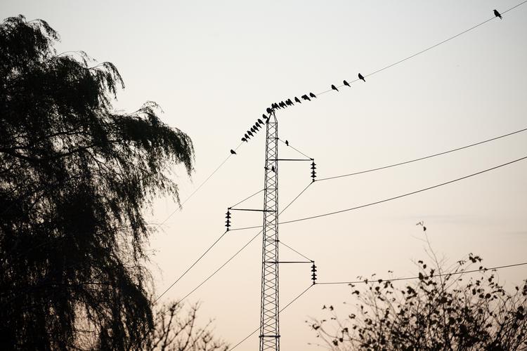 Foto: Thomas Borberg