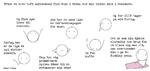 web_maren_2022-06-27