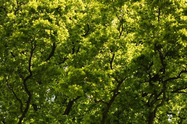 Foto: Marcus Emil Christensen