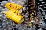 Hvordan tænder du op i grillen derhjemme?  Foto: Tobias Selnæs Markussen