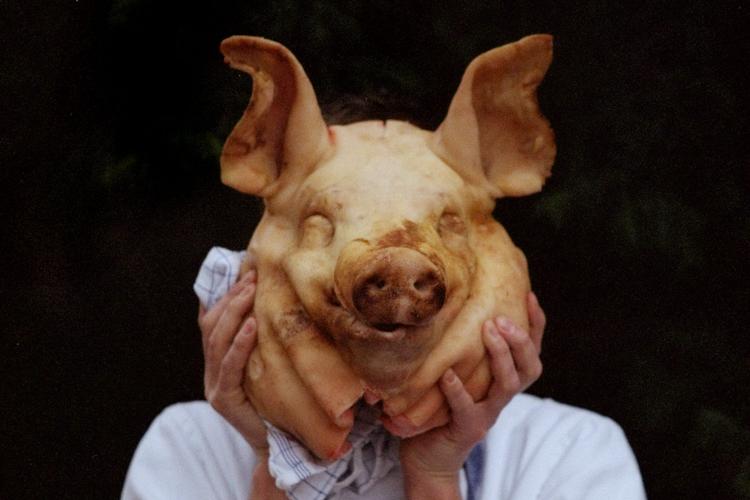 Foto: Vendelbo Anders/Vendelbo Anders