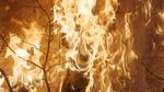 I Vajiko Chachkhianis video ’The Warm Winter Sun’ bliver en brand påsat. Et gammelt, faldefærdigt hus går op i flammer og forsvinder nærmest for øjnene af os – og af den mand, der har sluppet ilden løs. Hans motiv for branden kender vi ikke. Men vi ved fra konteksten, at han har haft et.   
