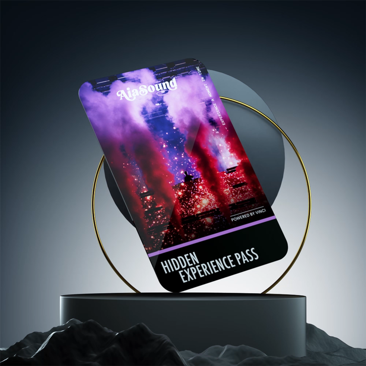 Den mest eksklusive NFT-billet til AiaSound Festival har navnet ’The AiaSound Hidden Experience NFT Pass’. Den findes der kun to af, og de koster 30.000 kroner stykket. Foto: Vinci/AiaSound Festival