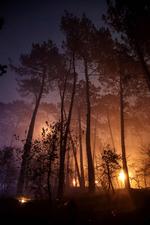 Foto: Thibaud Moritz/Ritzau Scanpix