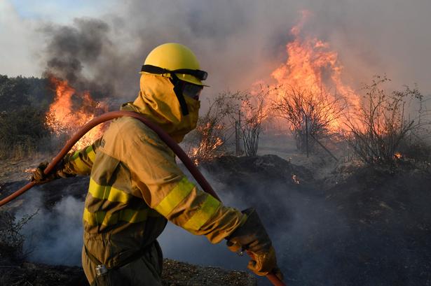 Foto: Miguel Riopa/Ritzau Scanpix