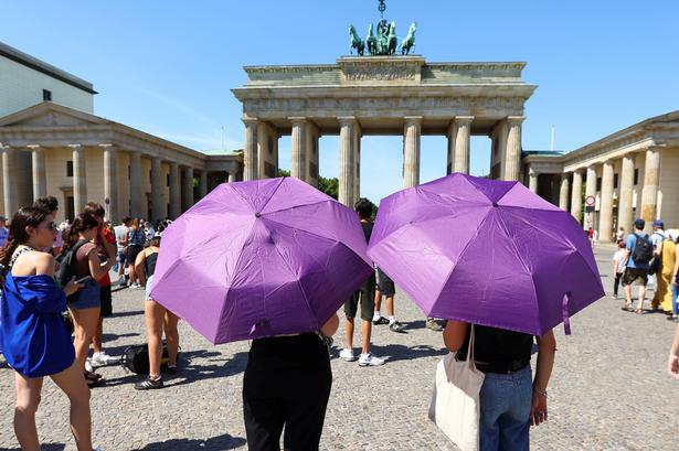Foto: Fabrizio Bensch/Ritzau Scanpix