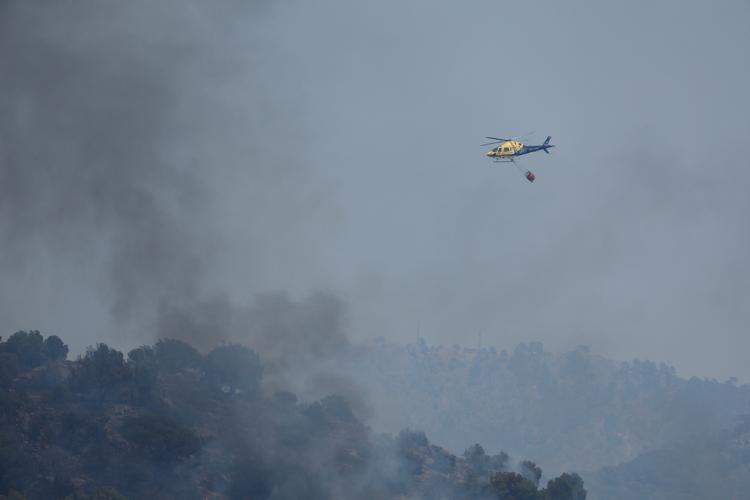 Foto: borja suarez/Ritzau Scanpix
