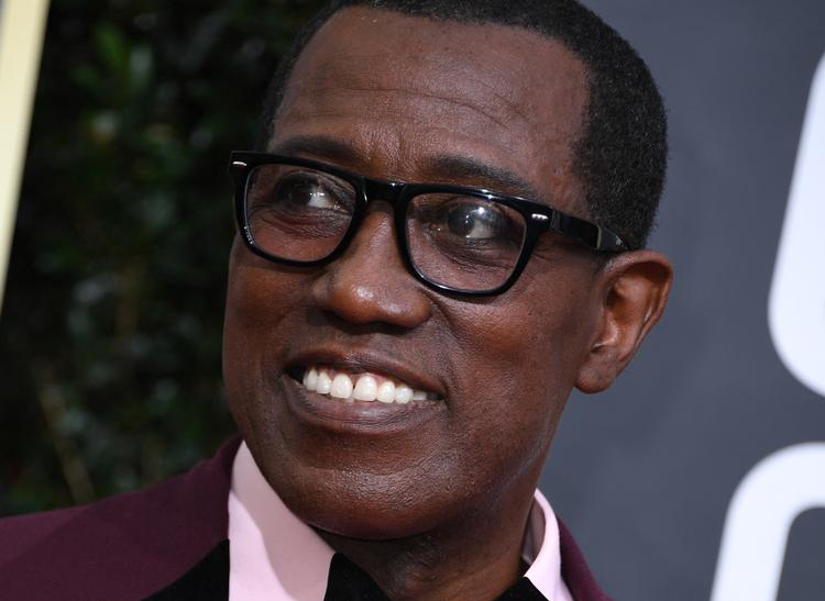 Det fik både personlige og økonomiske konsekvenser for Wesley Snipes, at han i 2008 blev dømt for skattesvig. Nød lider han dog næppe. Han har masser af roller og bor med sin familie i en stor ejendom i New Jersey.  Foto: Valerie Macon/Ritzau Scanpix