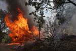 MARIPOSA, CALIFORNIA - JULY 23: A home burn as the Oak Fire burns through the area on July 23, 2022 near Mariposa, California. The fast moving Oak Fire burning outside of Yosemite National Park has forced evacuations, charred over 4500 acres and has destroyed several homes since starting on Friday afternoon. Justin Sullivan/Getty Images/AFP == FOR NEWSPAPERS, INTERNET, TELCOS &amp; TELEVISION USE ONLY == Foto: Justin Sullivan/Ritzau Scanpix