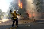 MARIPOSA, CALIFORNIA - JULY 23: A Cal Fire firefighter pulls hose as he battles the Oak Fire on July 23, 2022 near Mariposa, California. The fast moving Oak Fire burning outside of Yosemite National Park has forced evacuations, charred over 4500 acres and has destroyed several homes since starting on Friday afternoon. Justin Sullivan/Getty Images/AFP == FOR NEWSPAPERS, INTERNET, TELCOS &amp; TELEVISION USE ONLY == Foto: Justin Sullivan/Ritzau Scanpix