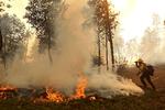 JERSEYDALE, CALIFORNIA - JULY 24: A Cal Fire firefighter uses a hose to put out hot spots during a burn operation to battle the Oak Fire on July 24, 2022 near Jerseydale, California. The fast moving Oak Fire burning outside of Yosemite National Park has forced evacuations, charred over 14, 000 acres and has destroyed several homes since starting on Friday afternoon. The fire is zero percent contained. Justin Sullivan/Getty Images/AFP == FOR NEWSPAPERS, INTERNET, TELCOS &amp; TELEVISION USE ONLY == Foto: Justin Sullivan/Ritzau Scanpix