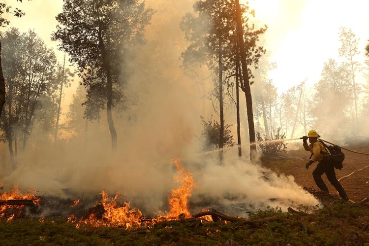 JERSEYDALE, CALIFORNIA - JULY 24: A Cal Fire firefighter uses a hose to put out hot spots during a burn operation to battle the Oak Fire on July 24, 2022 near Jerseydale, California. The fast moving Oak Fire burning outside of Yosemite National Park has forced evacuations, charred over 14, 000 acres and has destroyed several homes since starting on Friday afternoon. The fire is zero percent contained. Justin Sullivan/Getty Images/AFP == FOR NEWSPAPERS, INTERNET, TELCOS &amp; TELEVISION USE ONLY == Foto: Justin Sullivan/Ritzau Scanpix