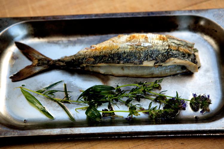 Foto: Peter Hove Olesen