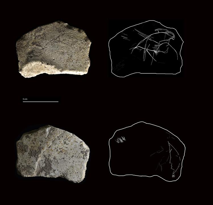 »Det tyder på, at personen eller personerne, som har udført dem, var intelligente og teknisk dygtige«, siger en af forskerne bag Foto: Universitat Autónoma de Barcelona
