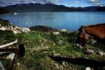 Der er smukt ved Ilulissat i Grønland. Så smukt, at mange turister er begyndt at strømme til. Også for mange, mener borgmesteren, der nu vil have et loft på, hvor mange der kommer samtidig. Foto: Martin Lehmann