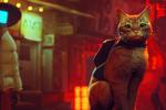 Stray3
