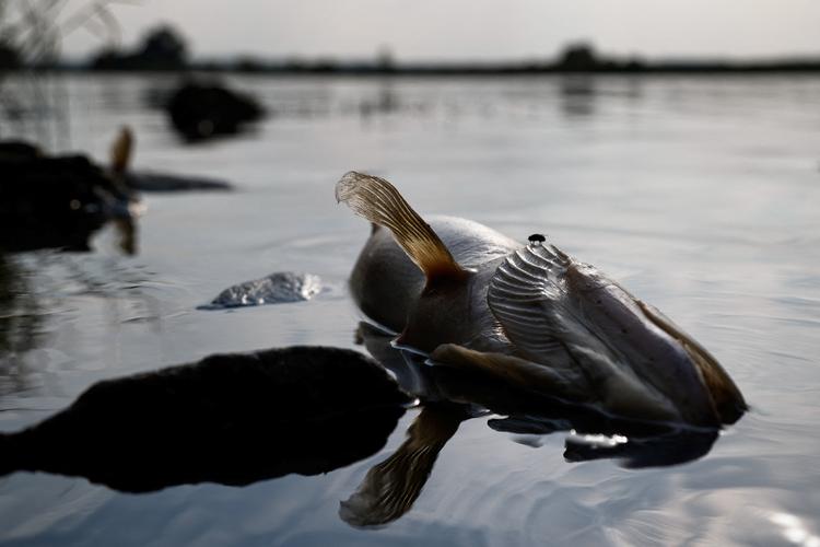 Foto: Jakub Stezycki/Ritzau Scanpix